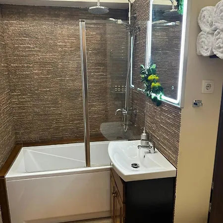 Cozy In The Historic Center Temeşvar