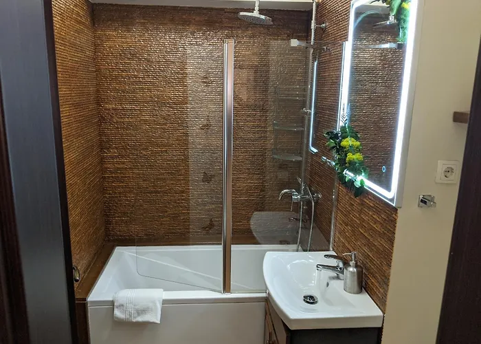 Cozy In The Historic Center * טימישוארה