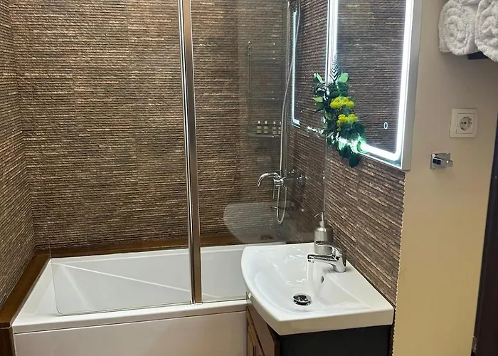 Cozy In The Historic Center Timisoara